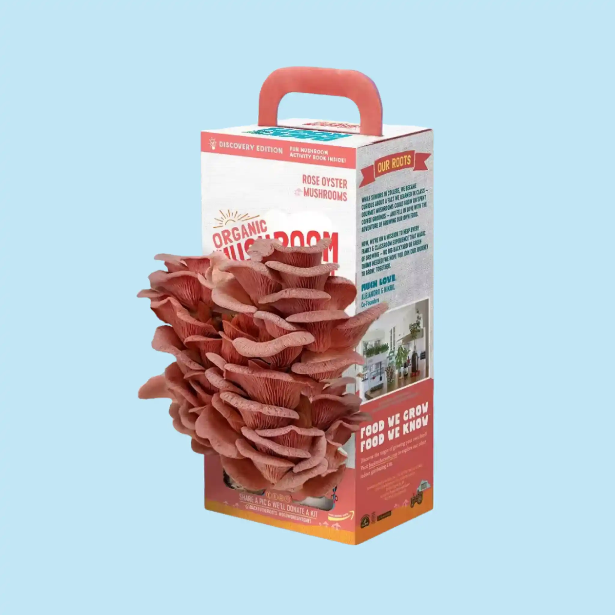 Custom Mushroom Boxes