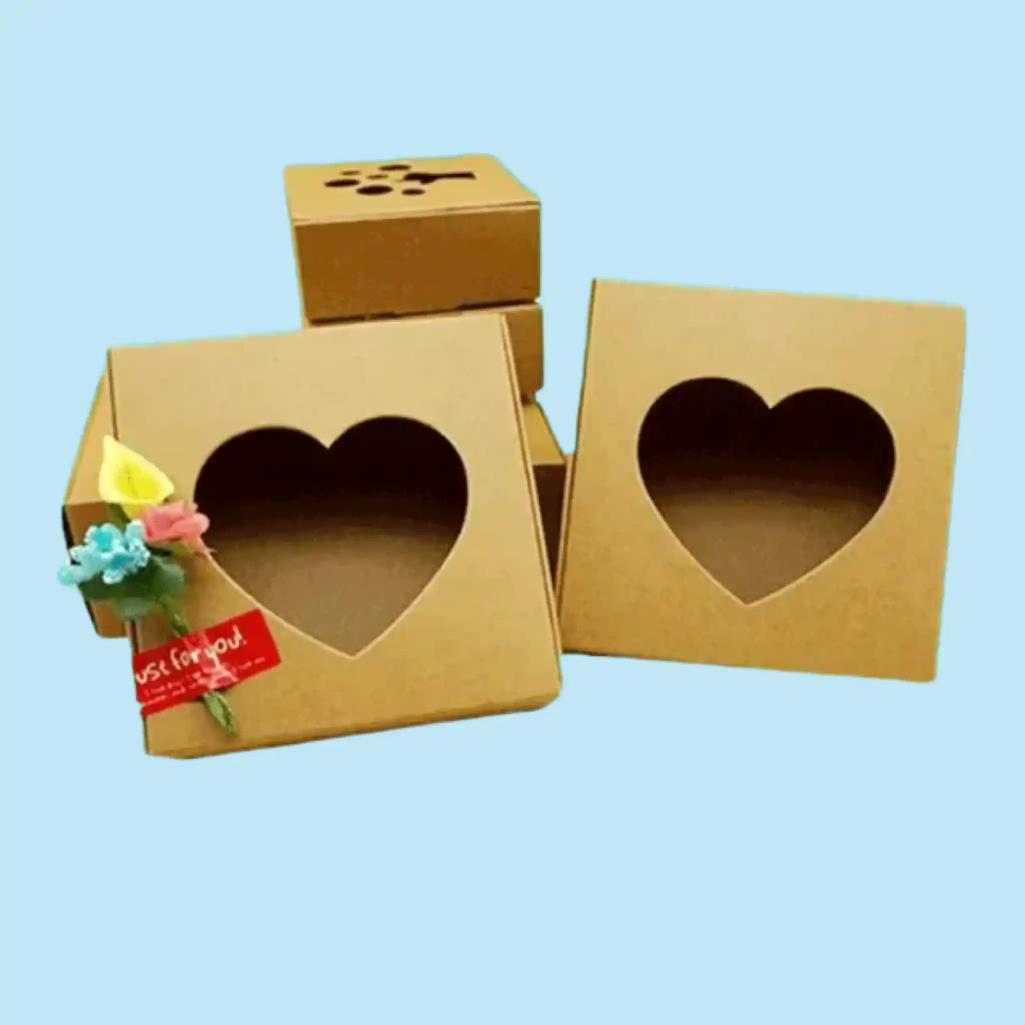 Custom Die Cut Corrugated Boxes