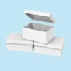 Custom Paper Boxes with Lids