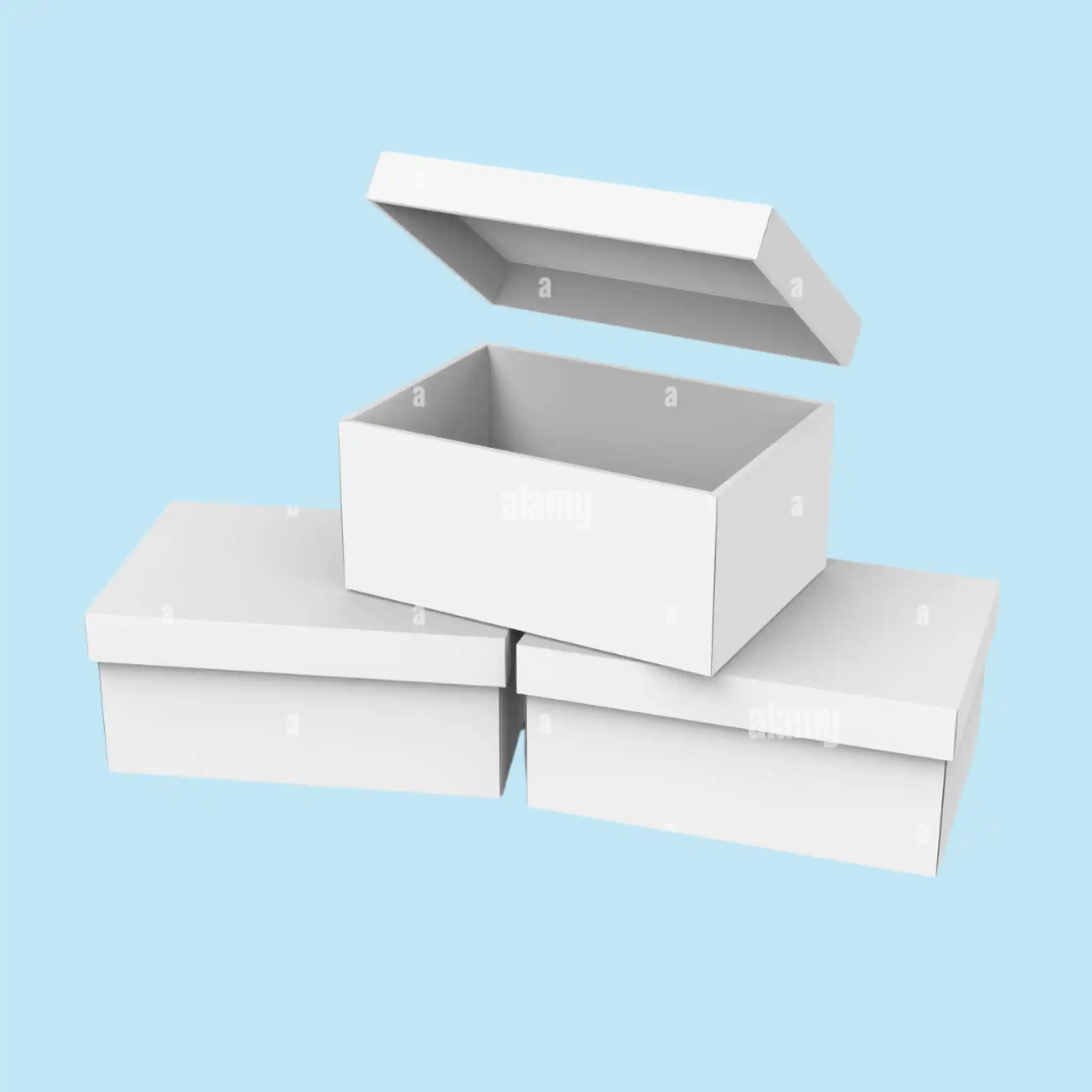 Custom Paper Boxes with Lids