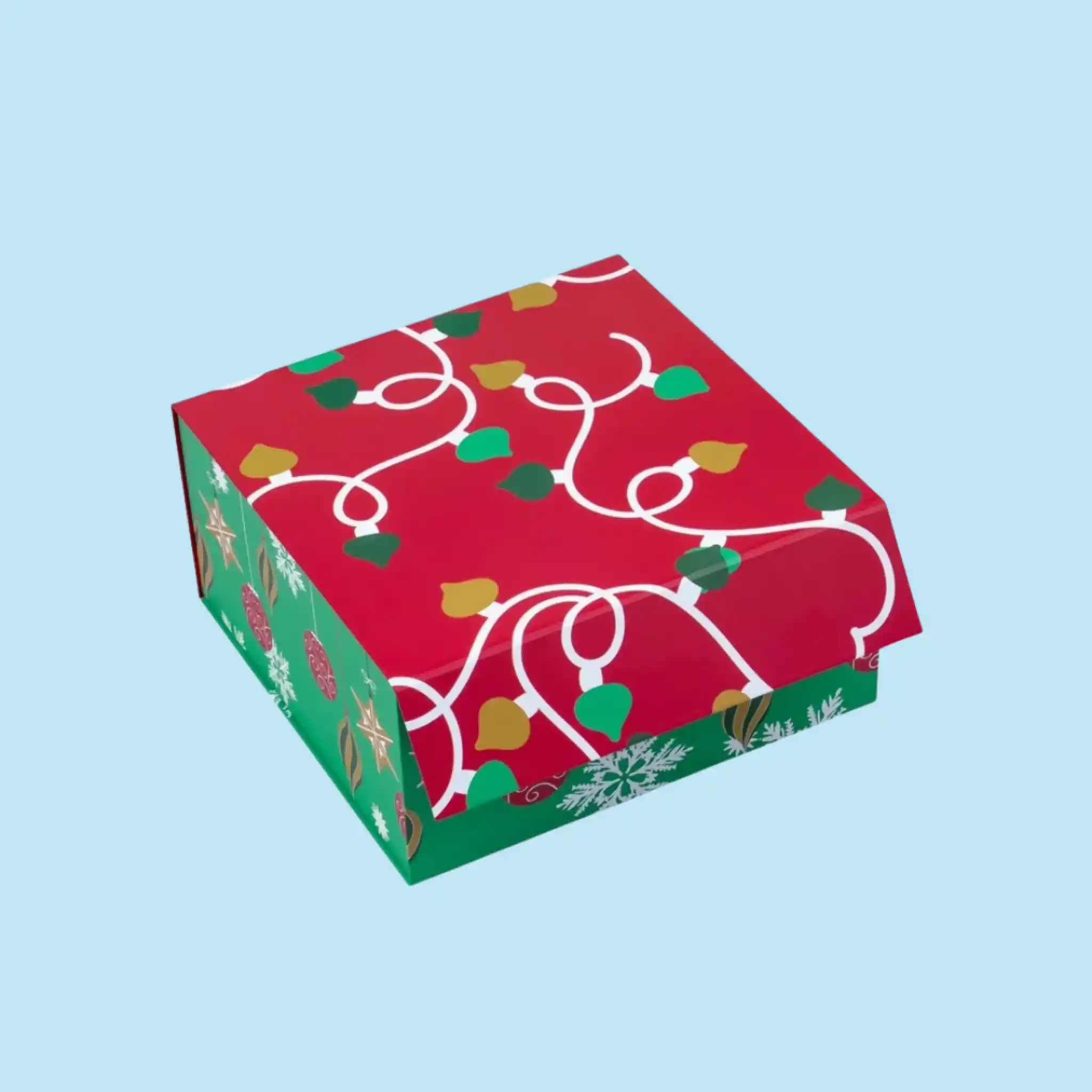 Rigid Boxes with Magnetic Closure