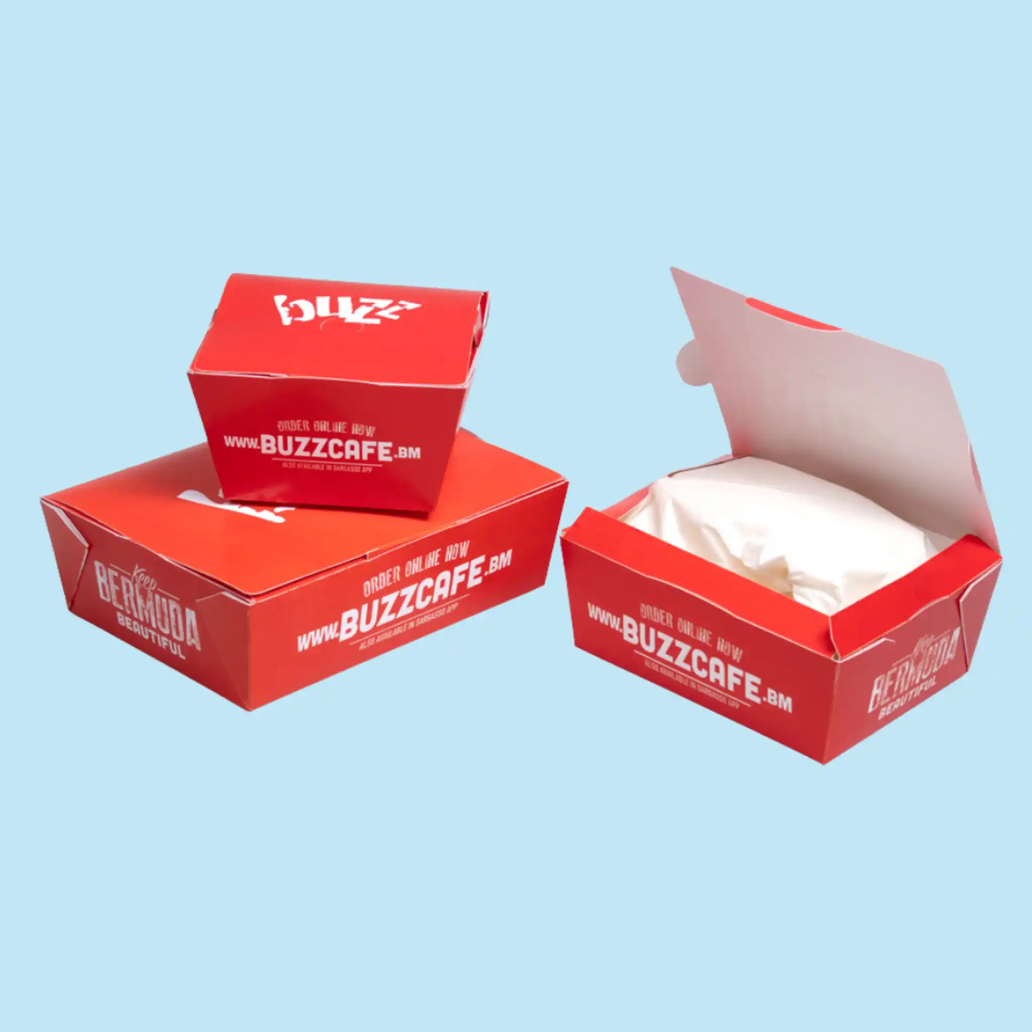 Custom Takeout Mailer Boxes